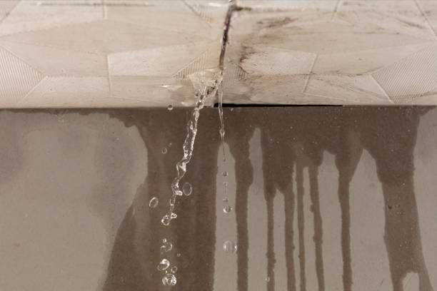Professional Water Extraction technician working in Birnamwood, WI